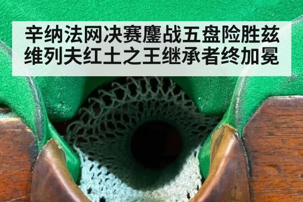 辛纳法网决赛鏖战五盘险胜兹维列夫红土之王继承者终加冕