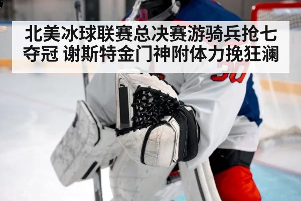 北美冰球联赛总决赛游骑兵抢七夺冠 谢斯特金门神附体力挽狂澜